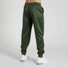 Leone Logo forma-green